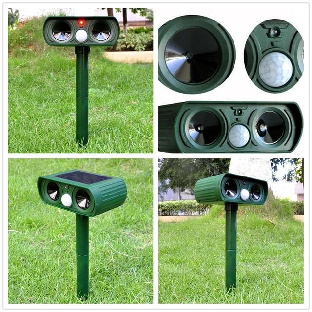 high quality green garden