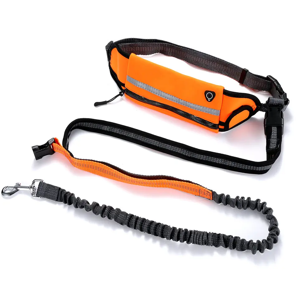 dog lead