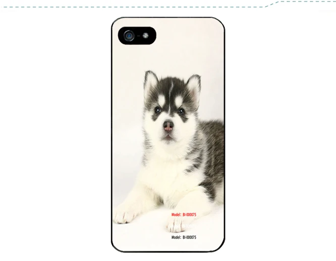 Apple-001298