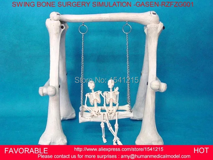 

SURGERY MEDICAL-PVC SWING COMBINATION OF HIGH-QUALITY HUMAN SKELETON BONE GASEN-RZFZG001