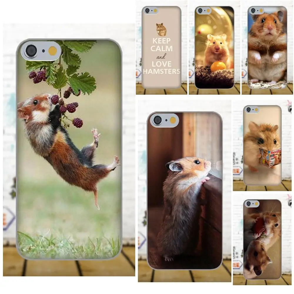 

Diwqxr Hamster For Samsung Galaxy A3 A5 A7 J1 J3 J5 J7 S5 S6 S7 S8 S9 edge Plus 2016 2017 Newest Super Cute Phone Cases