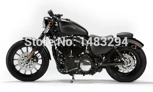2013 Sportster Iron 883(3)