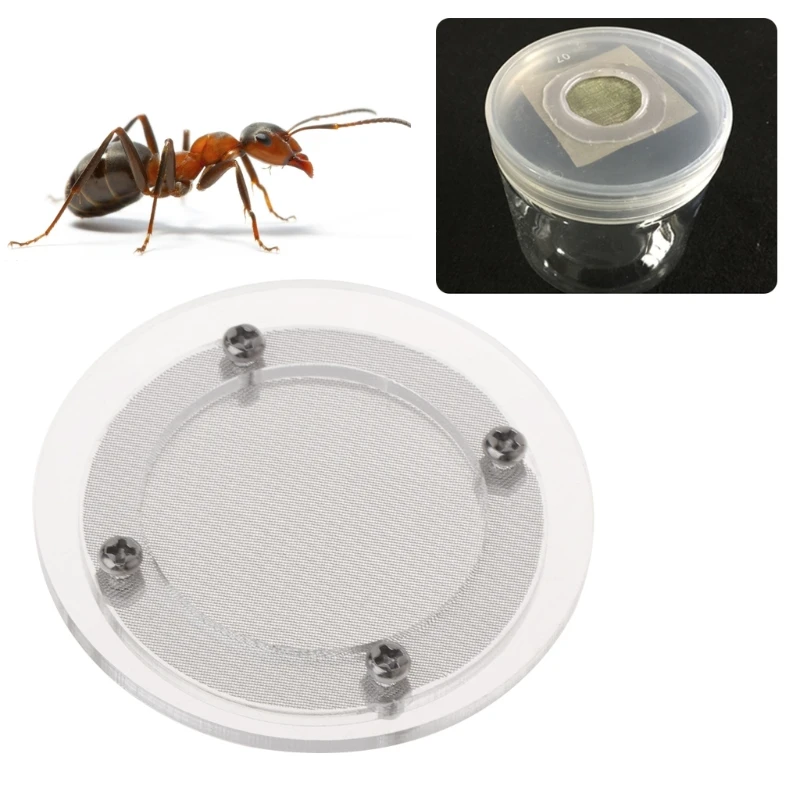 

Ant Farm Nest Cover Cap Prevent Escape Acrylic Round Breathable Stainless Steel