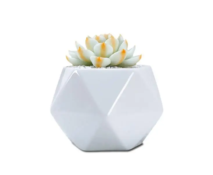 Cute Pentagon Shaped Ceramic Succulent Cactus Flower Plant Pot Planter for Home Garden Office Desktop Decoration | Дом и сад