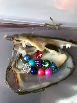 

Beatuiful gems and pearls Oyster random gem and round pearl inside the Freshwater Akoya Oyster Treasure Oyster Gift FP485