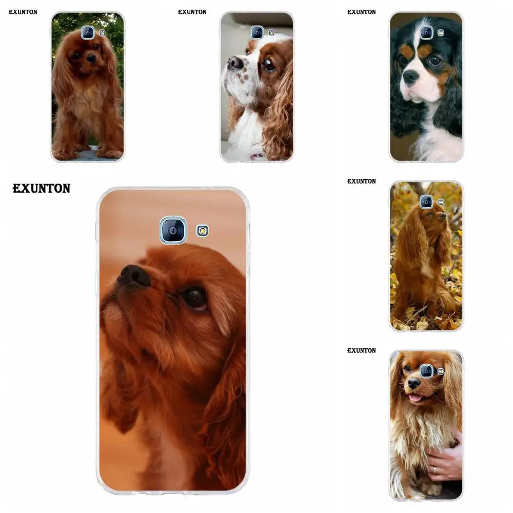 

Cavalier King Charles Spaniel Dog Puppies TPU Mobile For Galaxy A3 A5 A7 A8 A9 A9S On5 On7 Plus Pro Star 2015 2016 2017 2018