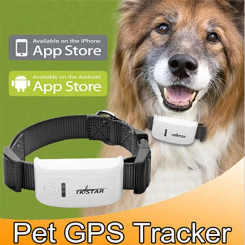 Best Buy Gps Tracker Cat Tracker Tk Tristar Gps Tracker System For Dogs Personal Best Buy Gps Tracker Cat Tracker Tk Tristar Gps Tracker System For Dogs Personal