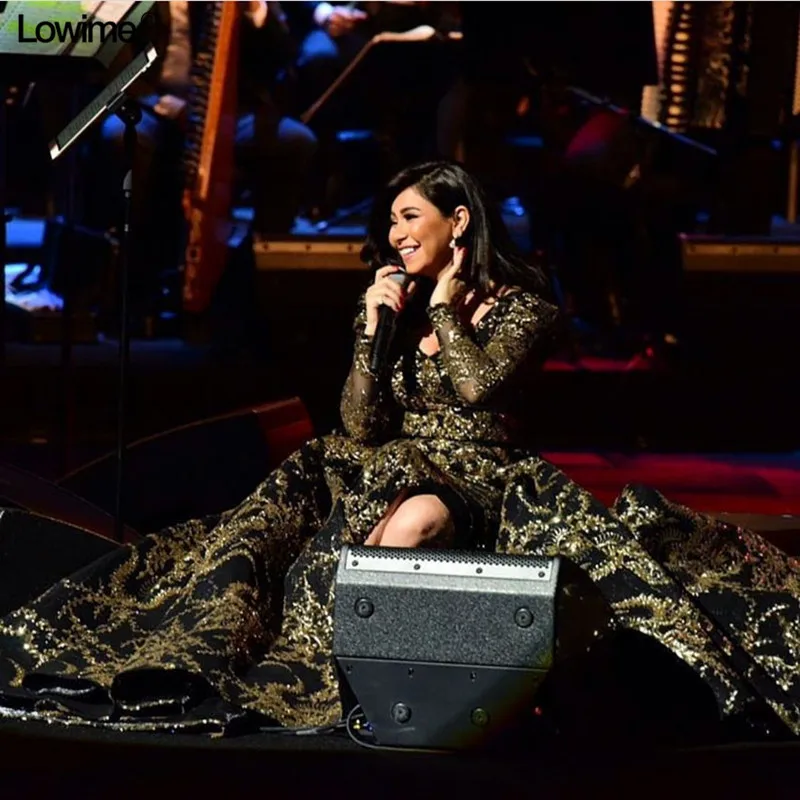 Popular 2018 Formal Celebrity Dresses A-line V-neck Embroidery Lace Long Evening Dresses Red Carpet Dresses (1)