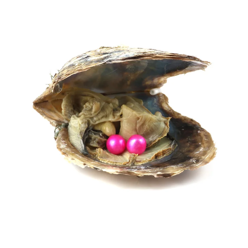 1 шт случайный цвет жемчуг Oyster двойной соленая вода с круглым жемчугом для