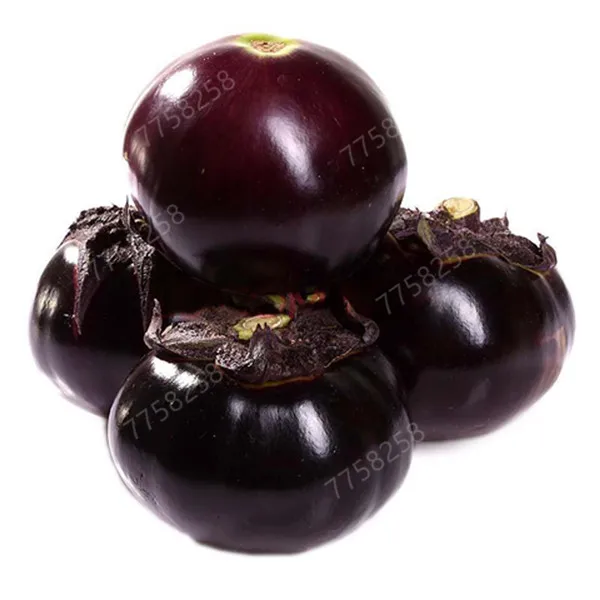 

100pcs Four Seasons Farmers small eggplant bonsai tablets four seasons sowing garden balcony potted vegetables bonsai