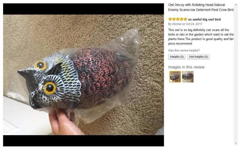 owl decoy (16)