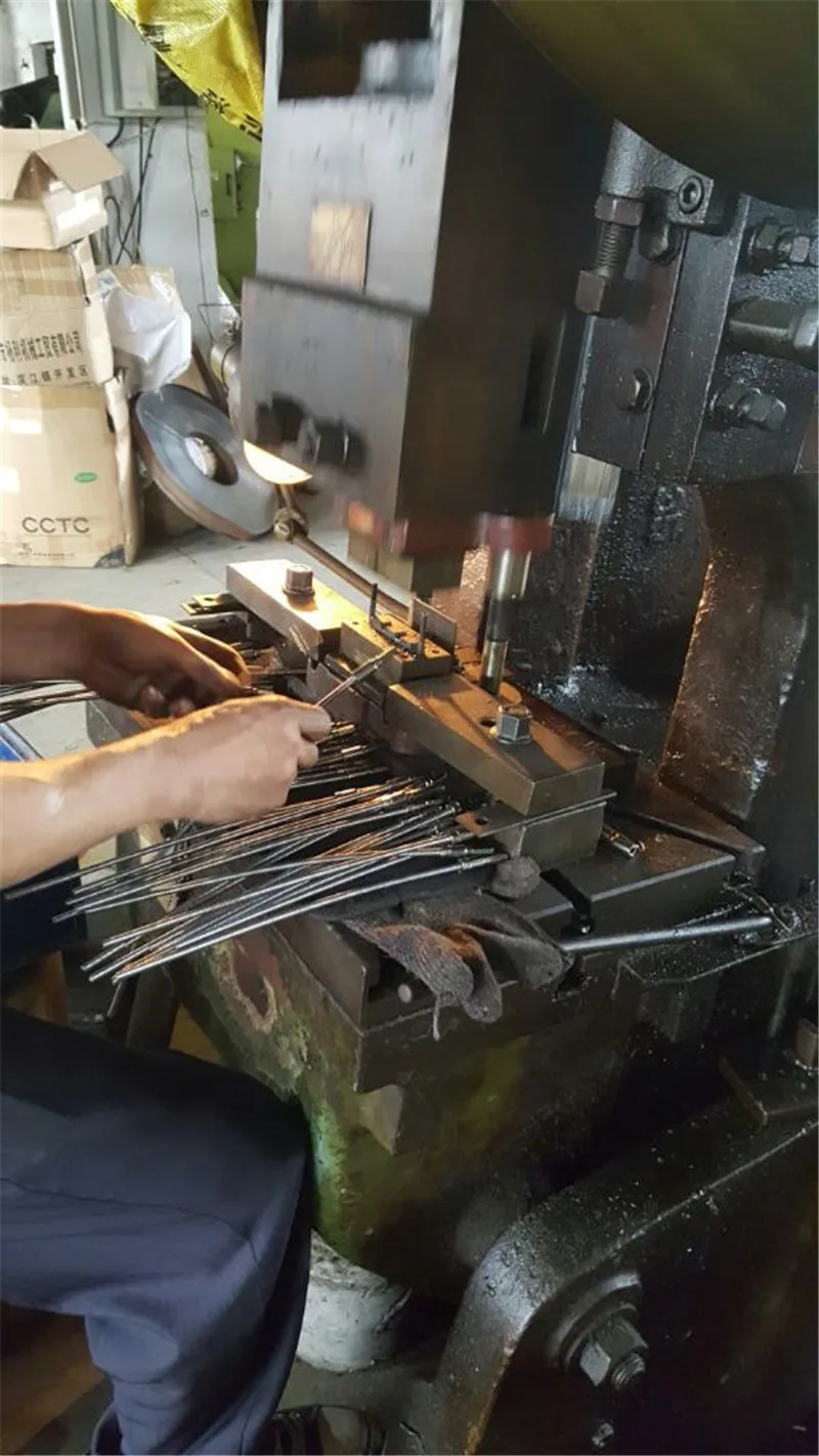 4272381013_1548396117