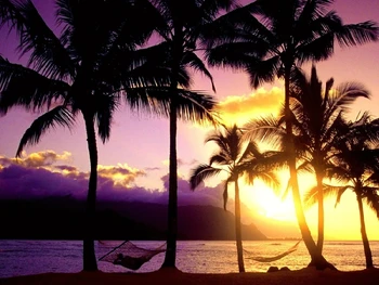 

Modern Tropical picture as Canvas prints , printed on cotton canvas from fantasy Picturesque photo for home decor free shipping