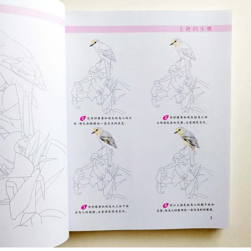 QQ20180504-6