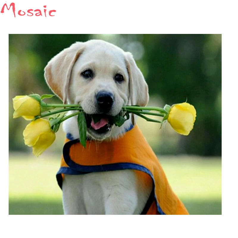 

Flower,dog,Full Square Diamond Embroidery Needlework 5D DIY Diamond painting Cross Stitch Rhinestone Mosaic diamond Painting