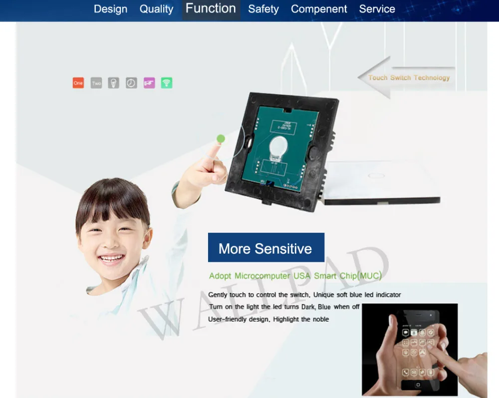aeProduct.getSubject()