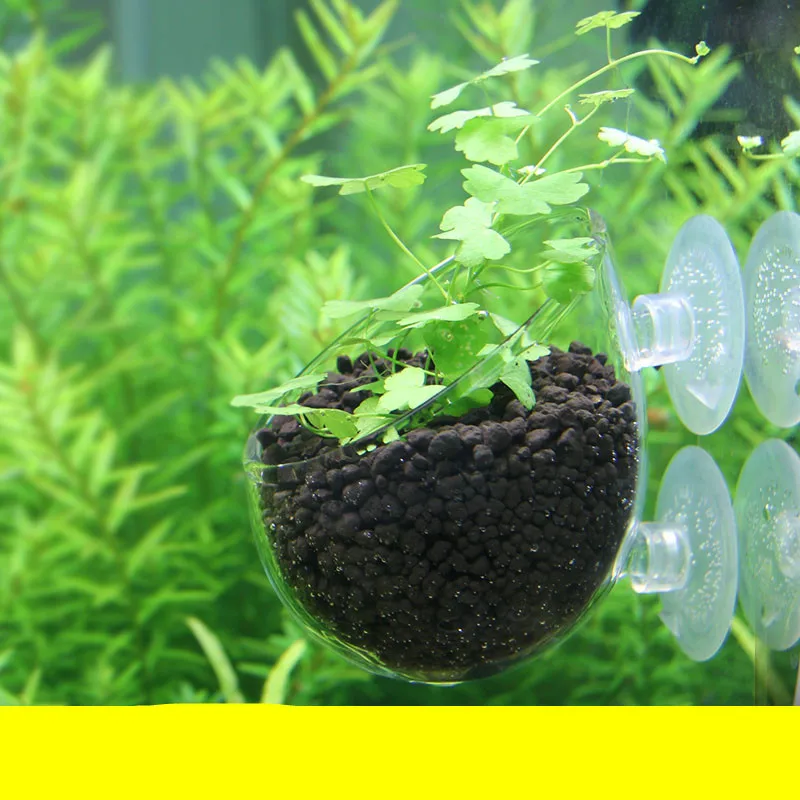 

Mini Aquarium Fish Tank Live Plant Cup Landscape Plants Cultivation Basin Cup Water Feeding Basin Decorations Ornaments