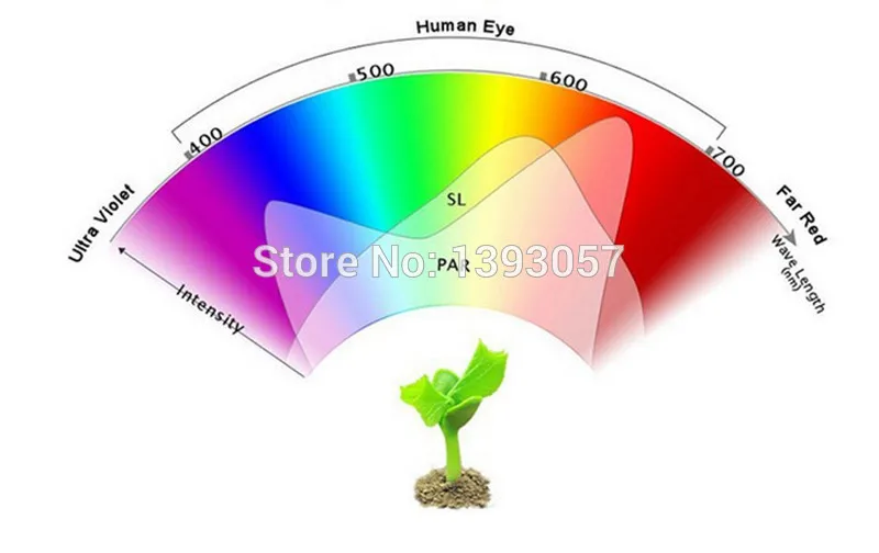 HTB144uVKFXXXXXVXpXXq6xXFXXXA