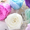 Консервированные Розы 5-6 см класса А, красота и чудовище Forever Rose Eternelle для подарка на День святого Валентина, свадебное украшение ► Фото 3/6