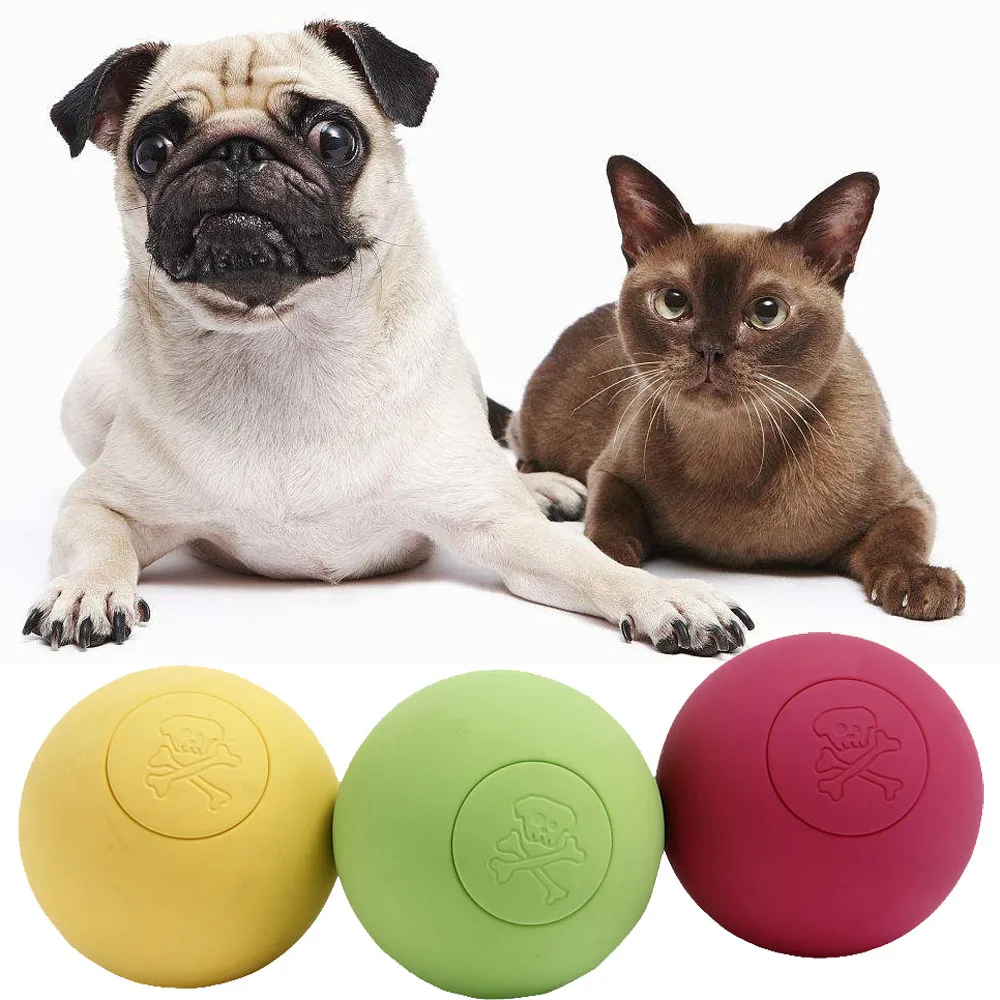 Buy Pet Cat Dog Toy Rubber Ball Solid Training Puppy