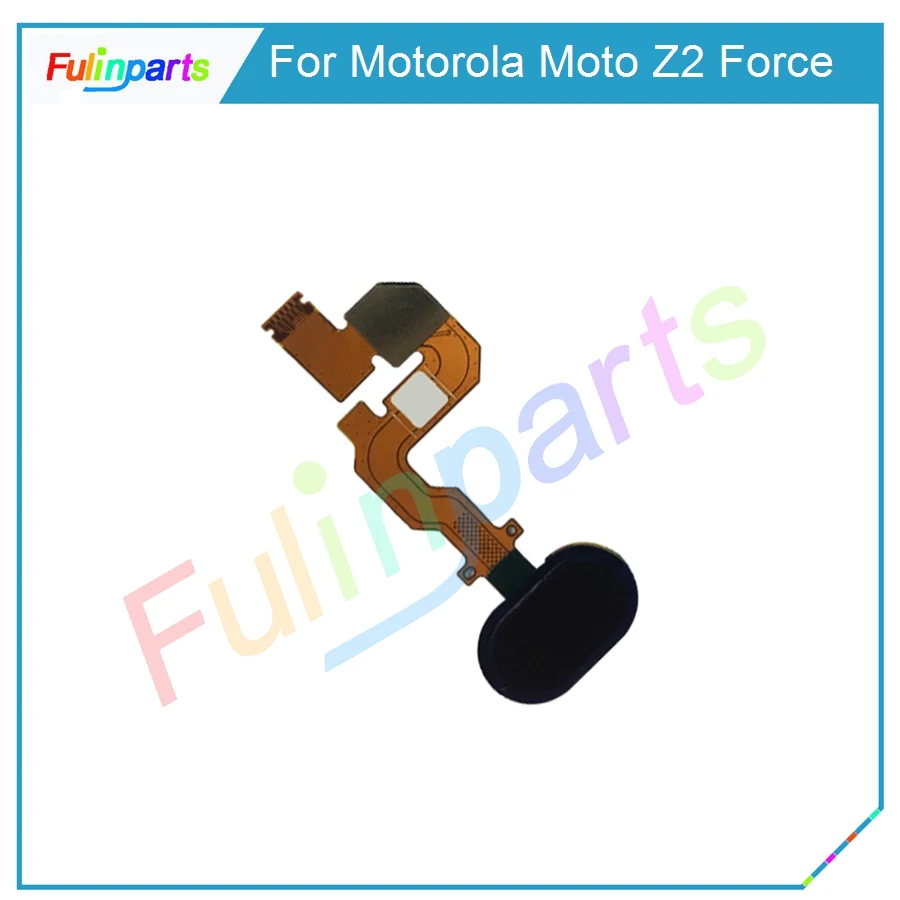 Z2 Force  30 (2)