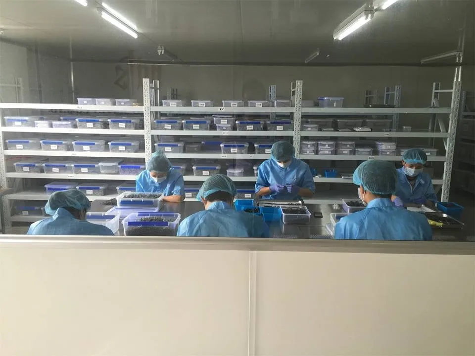 HTB1OdD4KVXXXXaUXFXXq6xXFXXXE