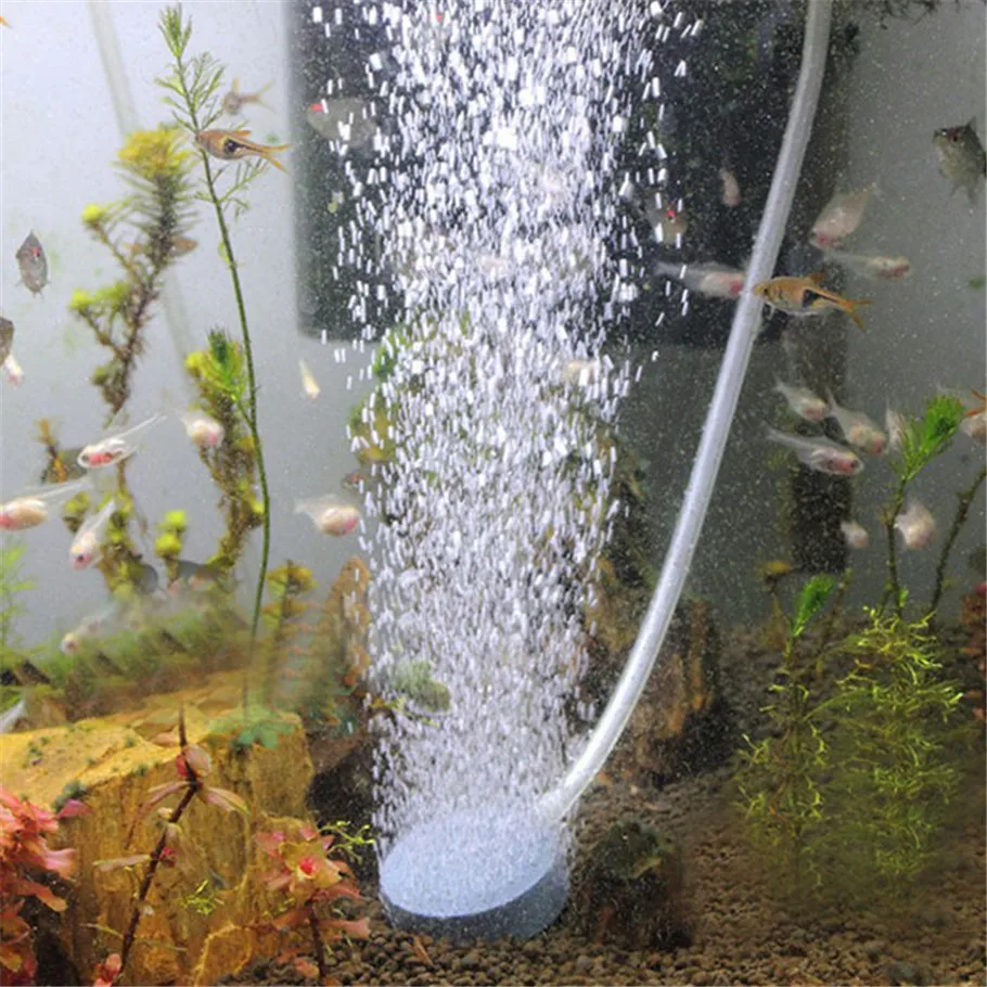 

1 XAir Bubble Stone Air Bubble Disk Stone Aerator Pump Pond Air Pump Hydroponic Aquarium Oxygen Plate for Aquarium Fish Tank