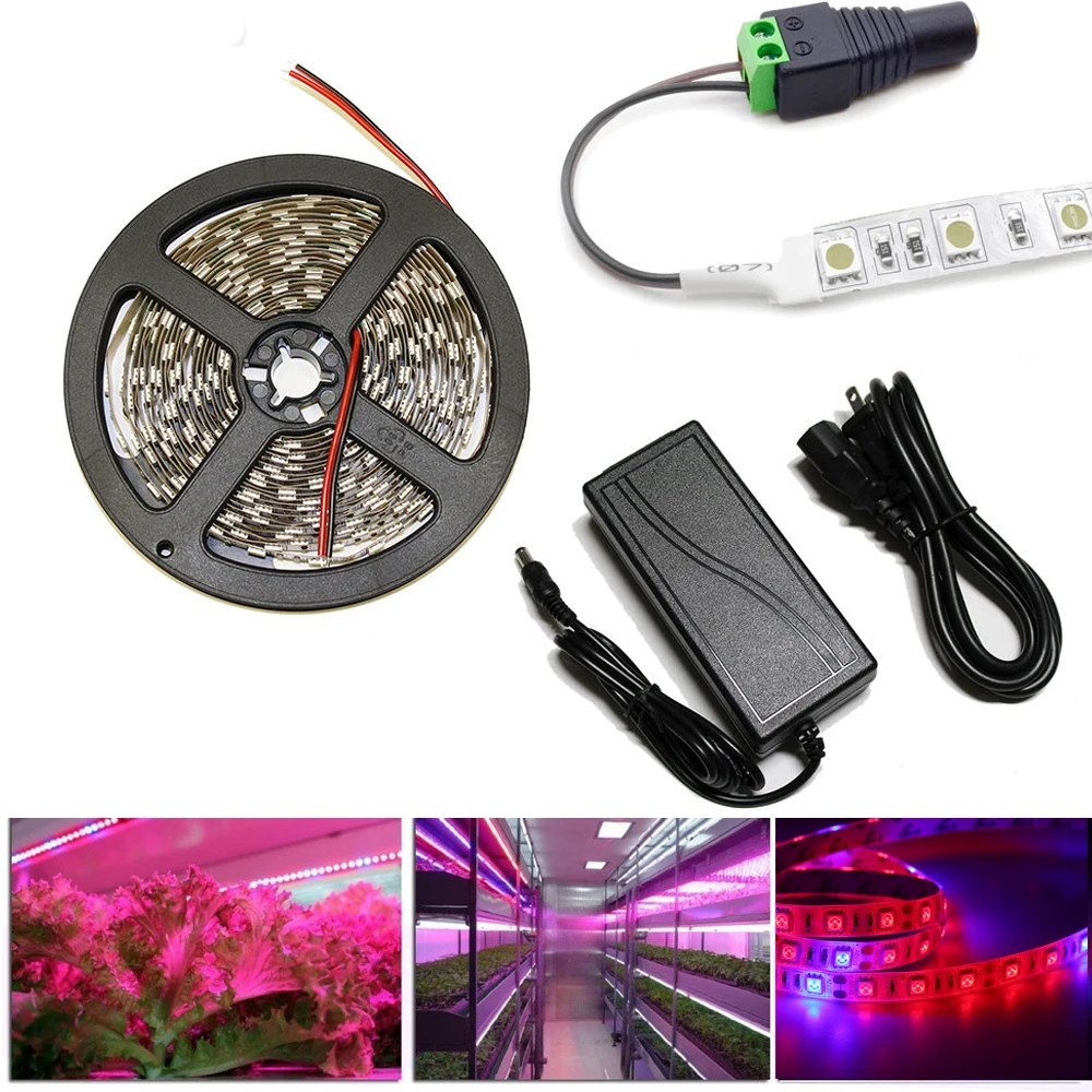 

House LED Plant Grow Strip Light Full Spectrum Red Blue 4:1 + DC12V Power Supply for Aquarium greenhouse Hydroponic Plant