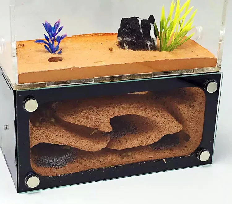  1PCS Ant Nest Gas Bubble Nest Ant City Two Bedroom - 32904211667