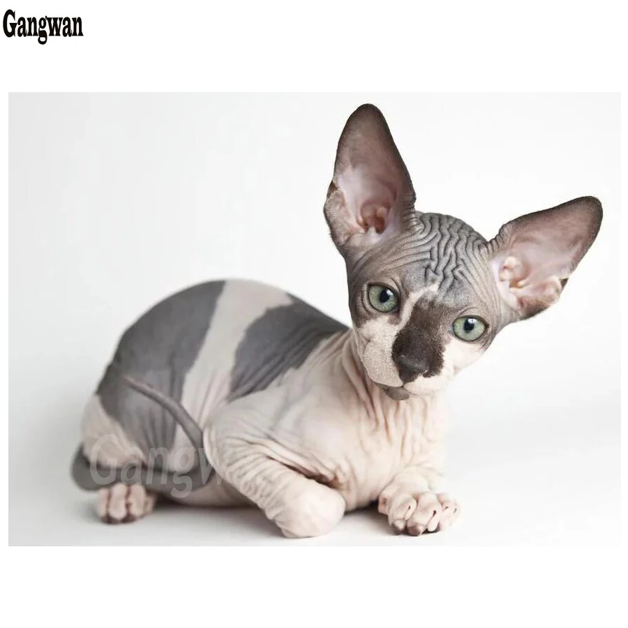 

Cat 3d diy diamond embroidery full square round Animal Sphynx 5d diamond painting crosss stitch mosaic Baby Kids room Decor gift