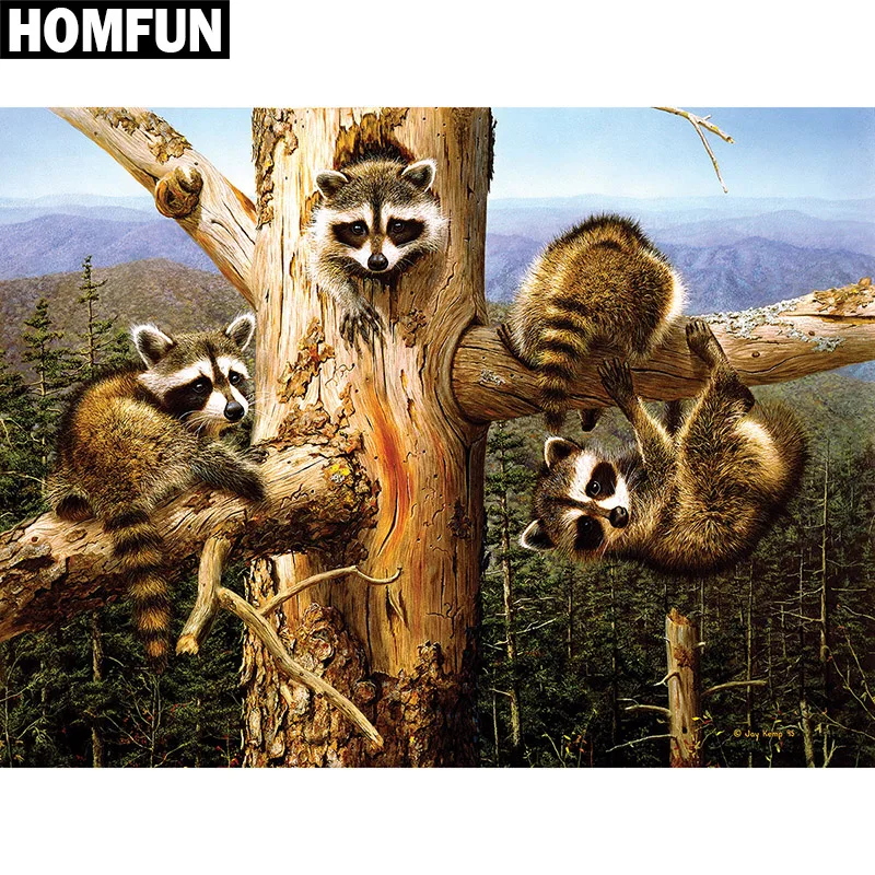 Animal raccoon