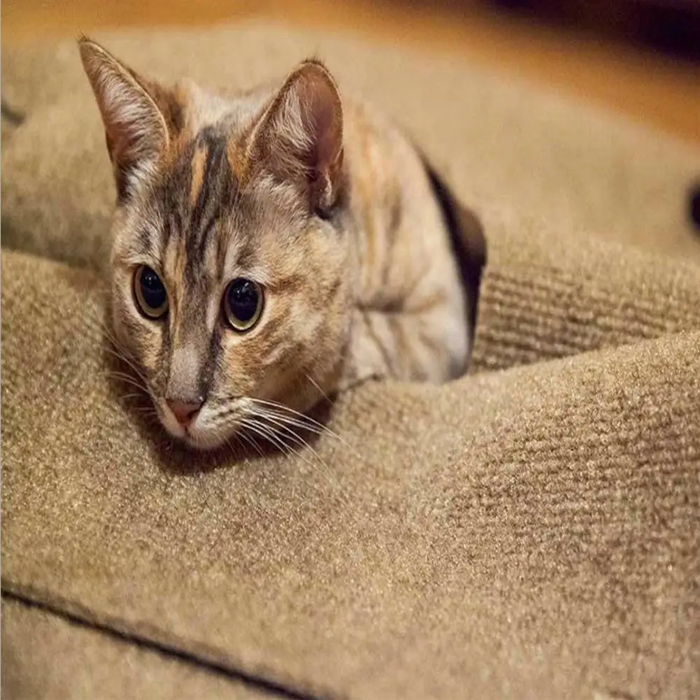 Unique Cat Toy For Pet Training Mat Cat Agility Training Mat Cat Biting Pad Squirrels Rabbits Tunnel Cat Supplies Unique Cat Toy For Pet Training Mat Cat Agility Training Mat Cat Biting Pad Squirrels Rabbits Tunnel Cat Supplies