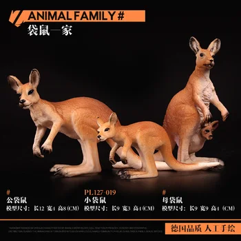 

Simulation Solid Animal Model Toy Set Wild Zoo Kangaroo Roo Bandicoot Wildlife Zoology Figurine Gift Present Souvenir display