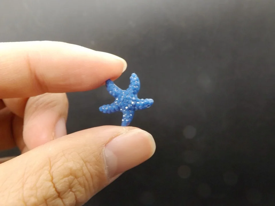 Tiny-A117Starfish (1)