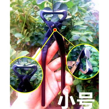 

210mm Professional Grade Sharp Blade Stems Branches Cutters Garden Bonsai Tools Purner Purning Scissors