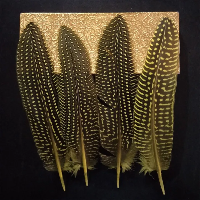 pearl pheasant feathers 1 (2)
