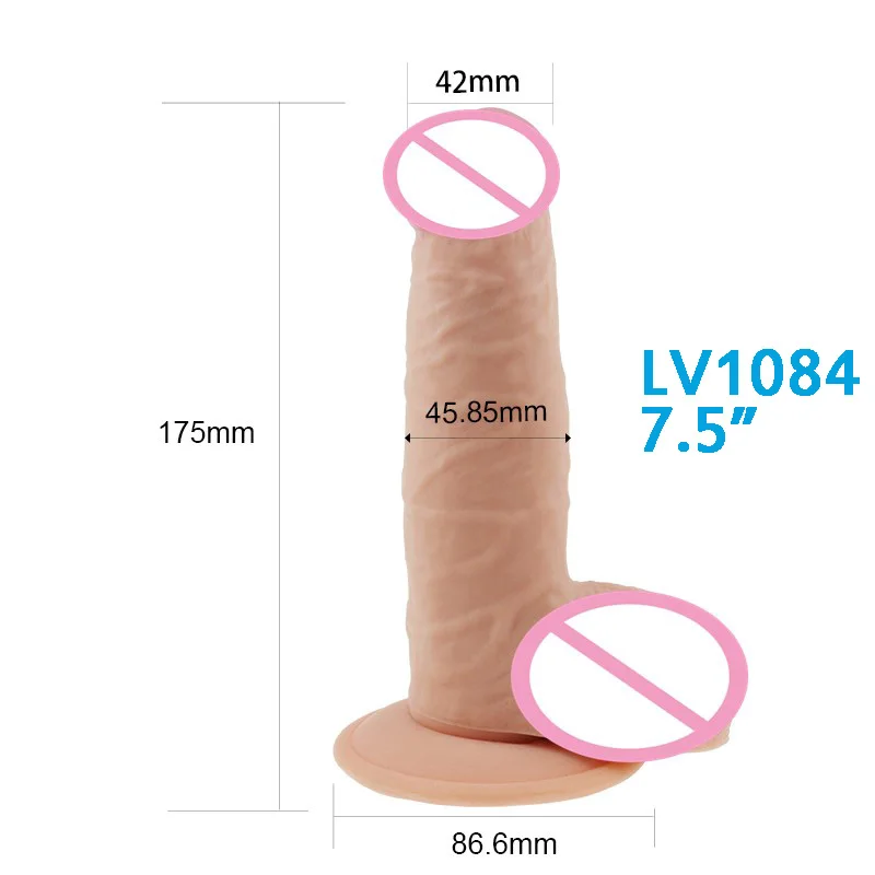 GV1230_1