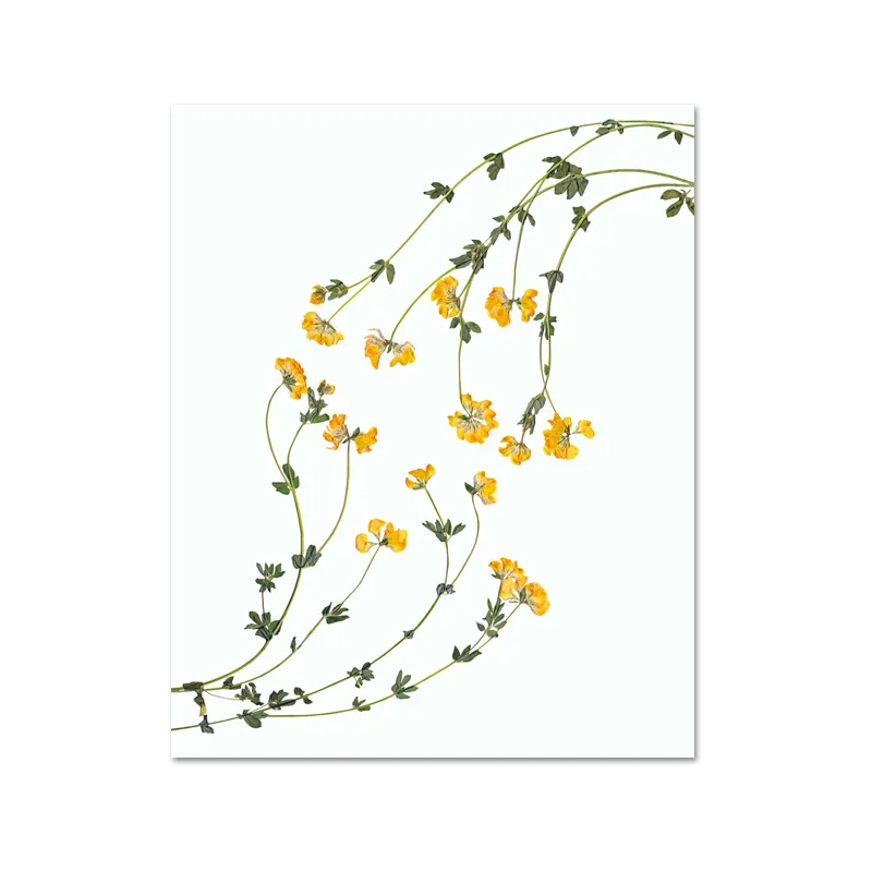 Желтый цветок печать ботанический холст живопись Весна домашний Декор современный дом стены художественные плакаты и принты для гостиной - Цвет: L521-4