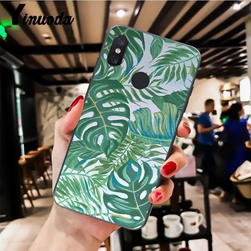 Palm tree Leaves pattern  