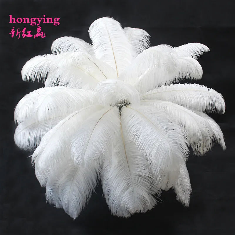 2018new 10pcs Ostrich Feather Natural White Ostrich Plumage 5055 Cm