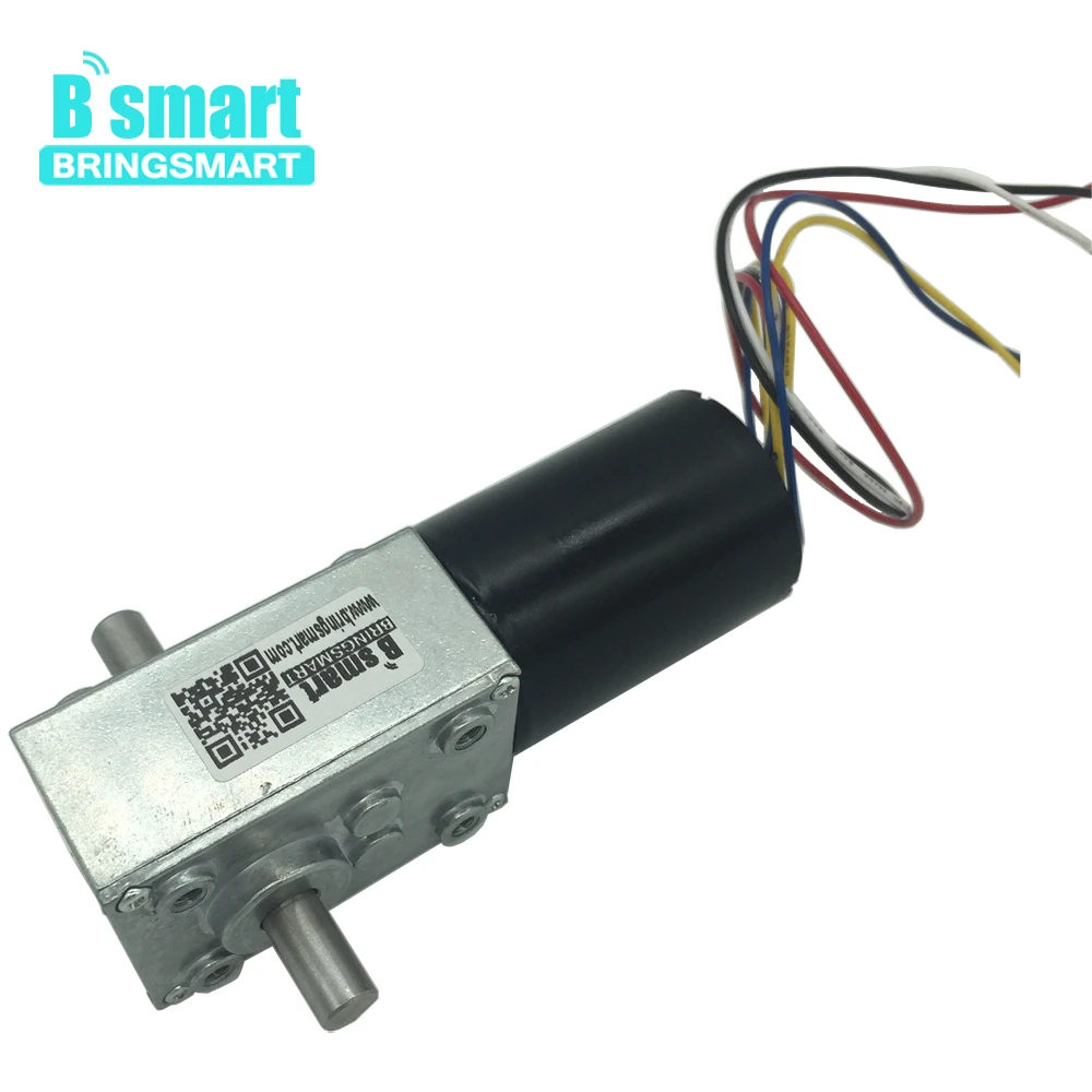 

Bringsmart DC Gear Motor Worm 12V 24V Double Shaft High Torque 470rpm Mini Turbine Reducer Reversible Advertising Board 31ZYS