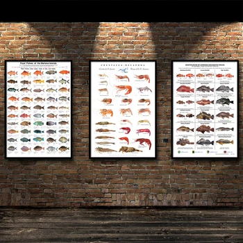 

COSY MOMENT Marine Life Educational Identification Reference Diagram Poster Introduction Of Deep Sea Fish Species Tableau Mural