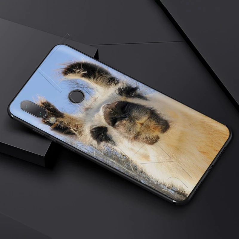 Чехол Lavaza с ламой и альпаками для Xiaomi Redmi Note 8 8A 7 6 6A 5 5A 4 4X 4A Go Pro Plus Prime|Бамперы| |