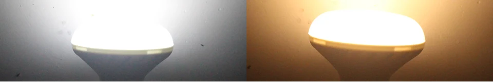 main_r7_c1