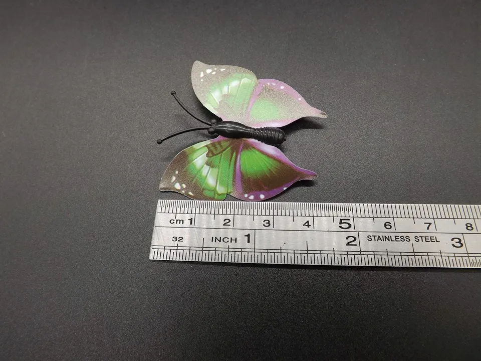 I253-Butterfly (11)