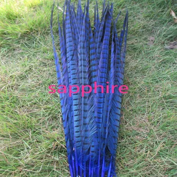 

Wholesale 200 pcs beautiful sapphire Pheasant Feather 16-18 inches 40-45 cm free shipping