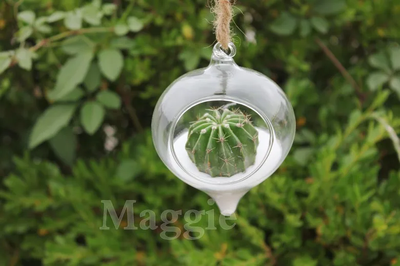 T2wXj0Xn0aXXXXXXXX_!!97110290