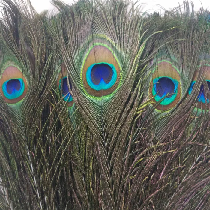 25-30cm natural peacock feather