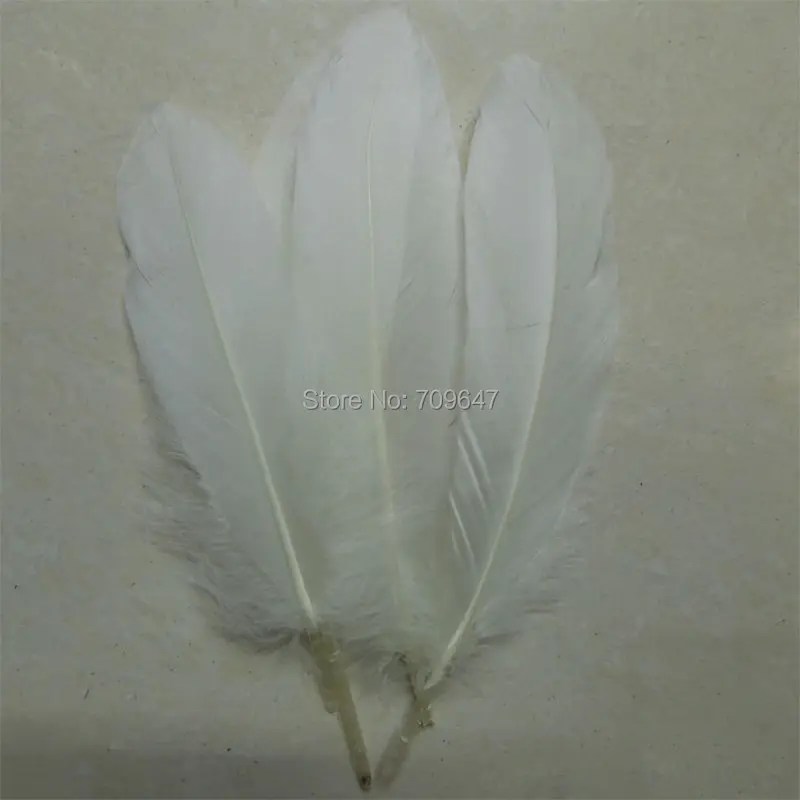 FMQ0090 (1)