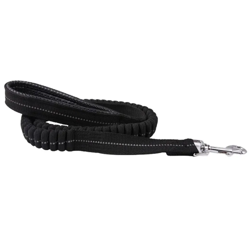 Buy Reflective Stitching Bungee Dog Leash Elastic Dog WalkingTraining Lead with